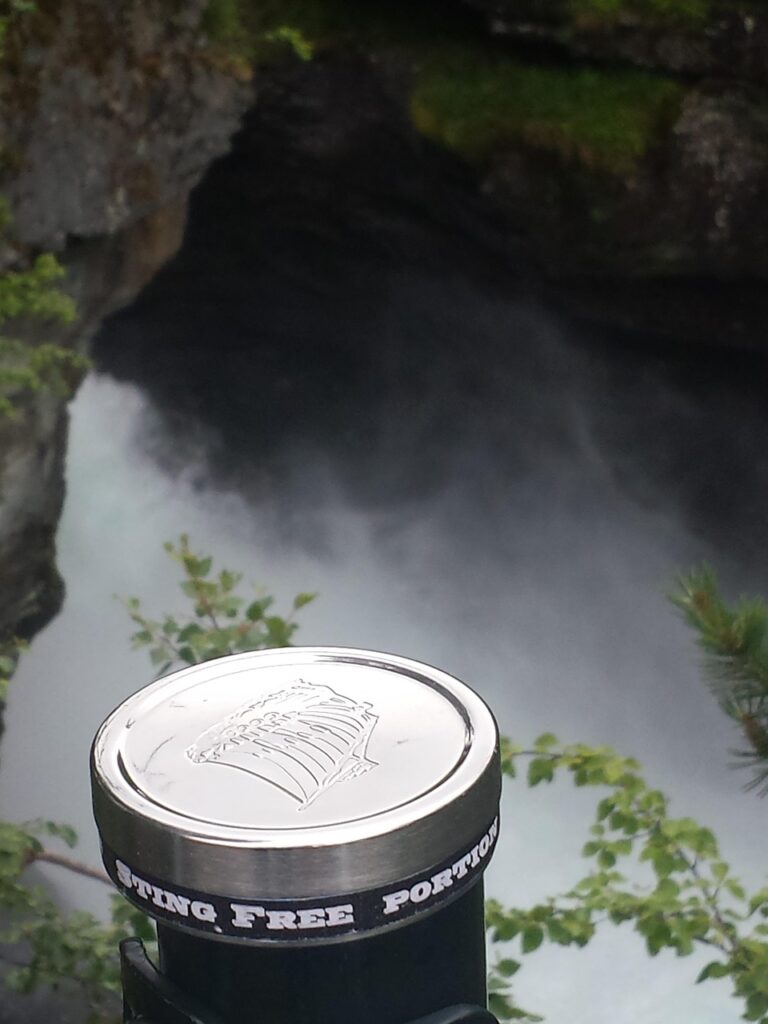 Risk Assessment and Mitigation Techniques