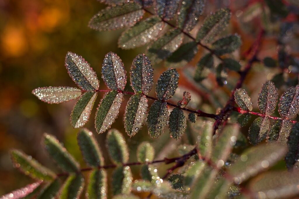 Cross-Platform Consistency Strategies