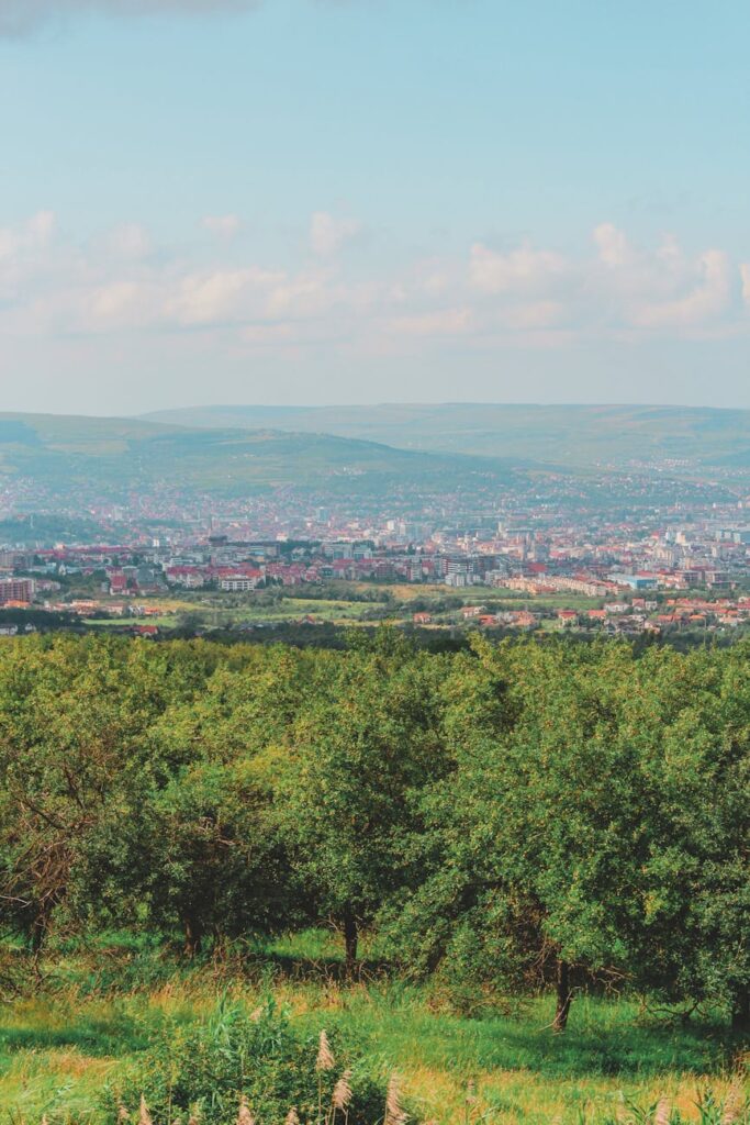 Integrating Green Spaces in Historical Urban Areas Integrating Green Spaces in Historical Urban Areas