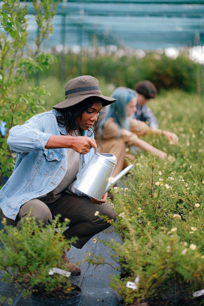 Sustainable Landscaping Practices Sustainable Landscaping Practices