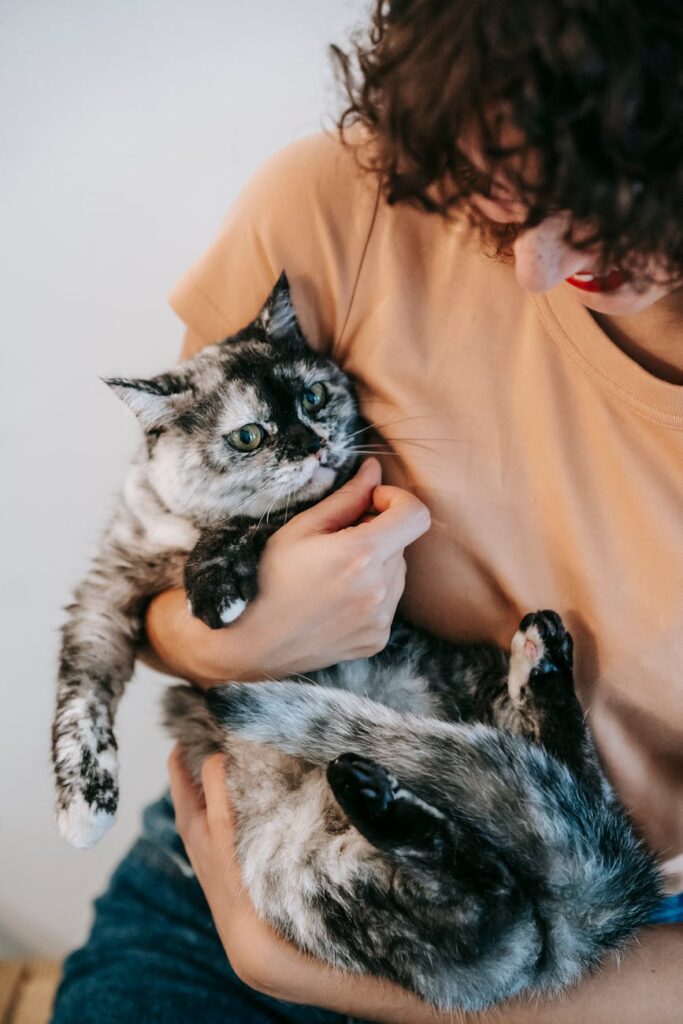 Balancing Content Creation: Finding the Sweet Spot