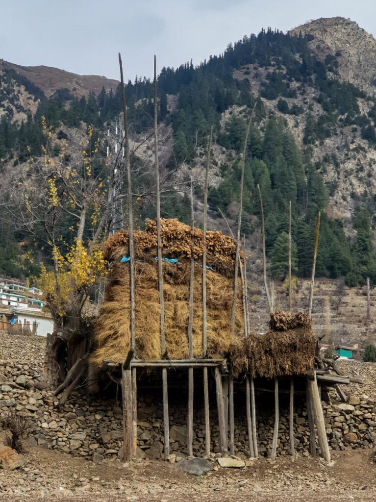 Best Practices for Optimizing Cloud Storage Costs