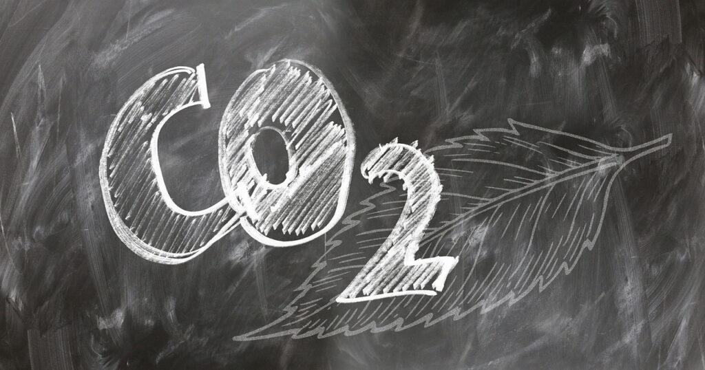Understanding Carbon Footprints: The Basics
