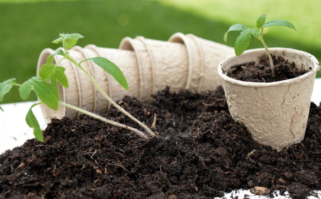Implementing Sustainable Practices to Reduce Costs and Maintain Standards Implementing Sustainable Practices to Reduce Costs and Maintain Standards
