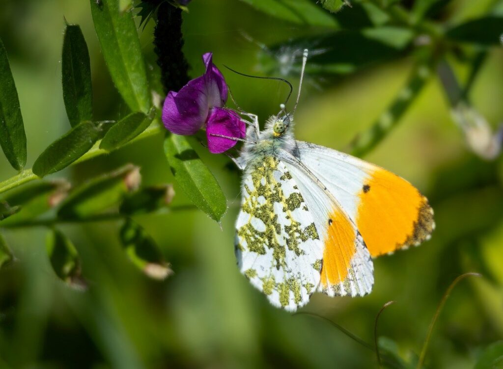 Tips for Future Travel: Preventing Disruptions