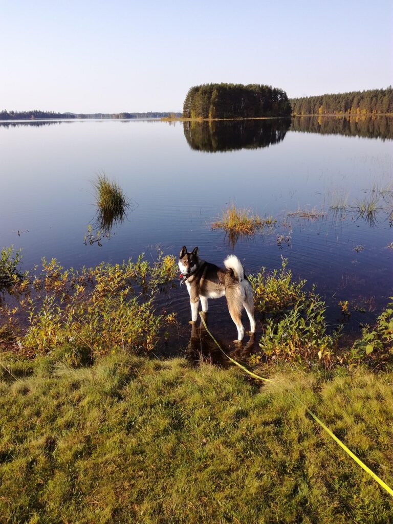 Engaging Attendees While Waiting for Rescheduled Sessions