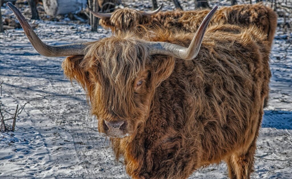 Leveraging User-Generated Content to Foster Community Leveraging User-Generated Content to Foster Community