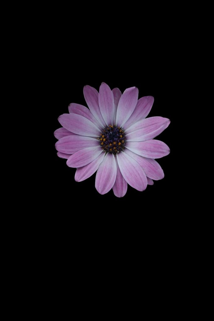 A/B Testing for Improved Outcomes A/B Testing for Improved Outcomes