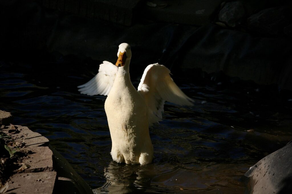 Ongoing Support and Follow-Up