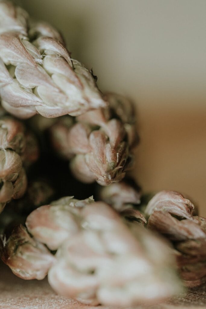 Post-Processing Tips for Last-Minute Photos Post-Processing Tips for Last-Minute Photos