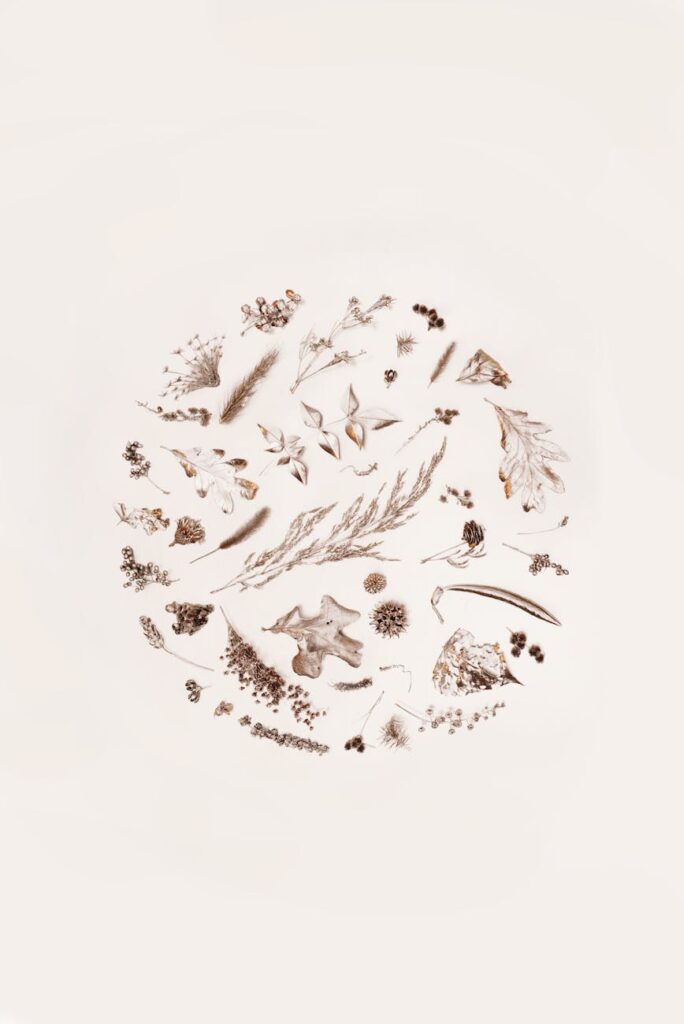 Balancing Whitespace and Visual Elements