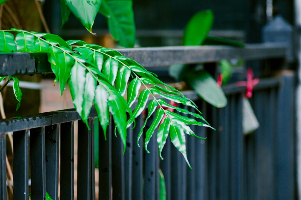 Preparing for Interviews Preparing for Interviews