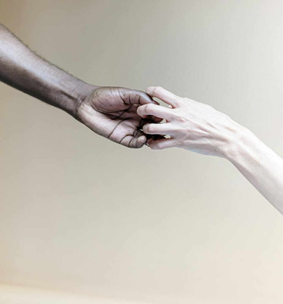 Understanding the Importance of Bridging Differences Understanding the Importance of Bridging Differences