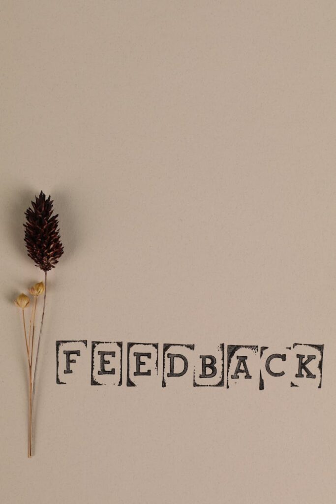 Strategies for Collecting Meaningful Feedback