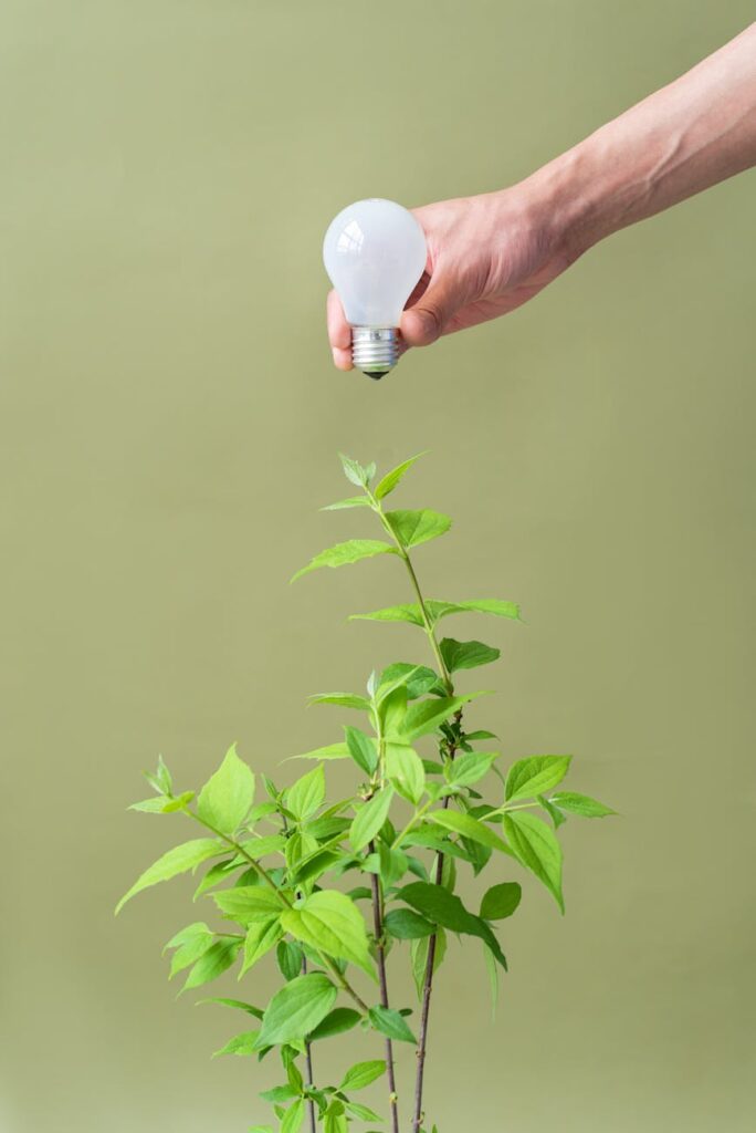 Creating Strategic Partnerships for Growth in the Renewable Energy Market