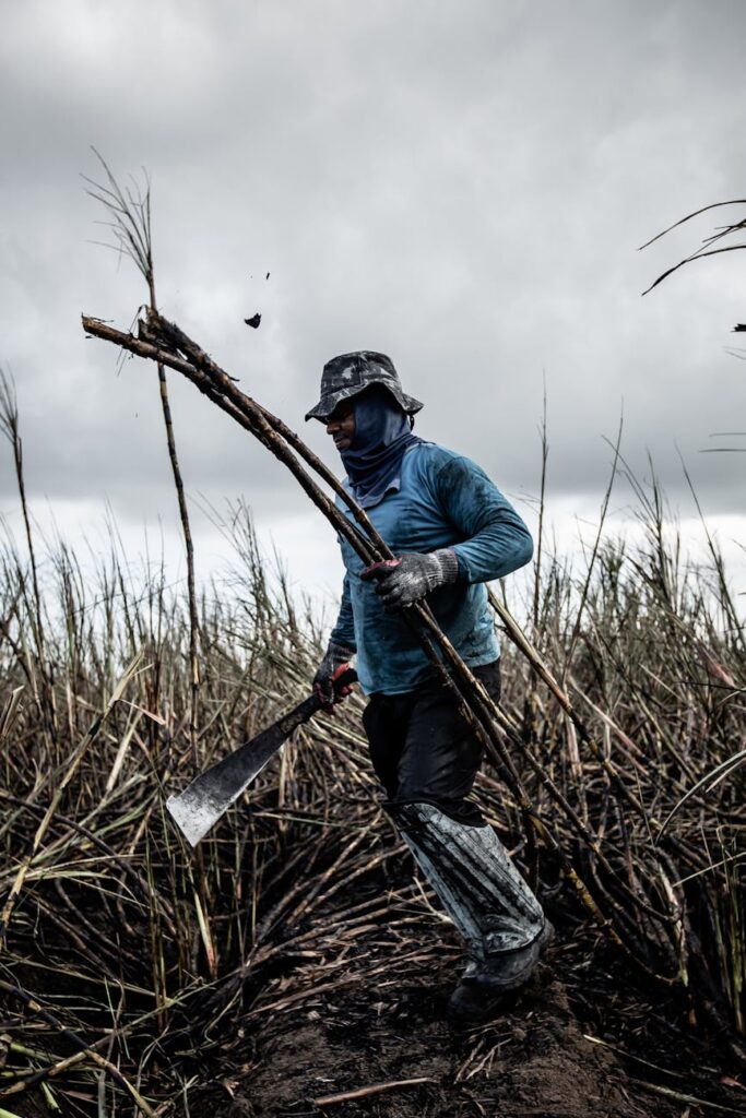 Tools and Techniques for Enhancing Resilience