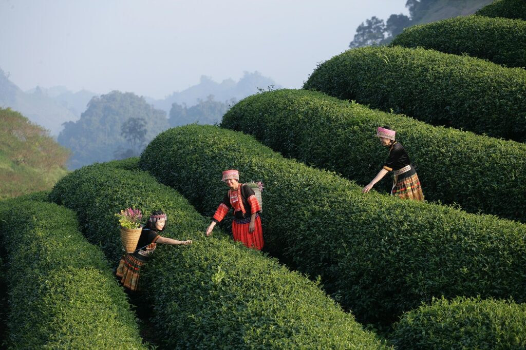 Streamlining Administrative Processes to Enhance Patient Experience