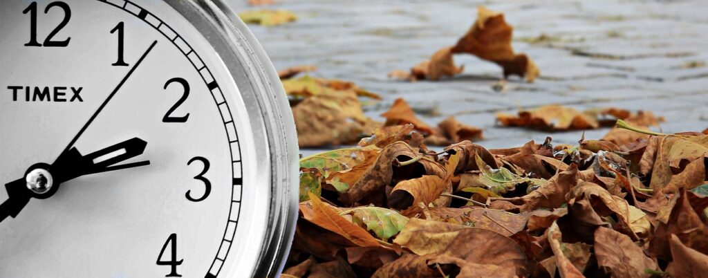Adapting Menu Plans for Seasonal Changes