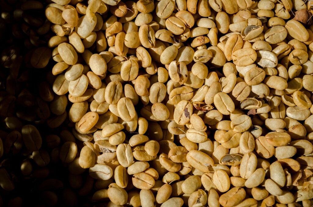 Sustainable Practices in Food Production