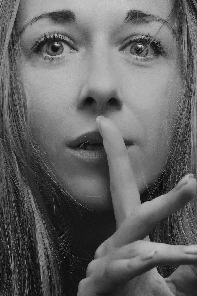 Incorporating Multimedia: Enhancing Aesthetics Without Sacrificing Accessibility