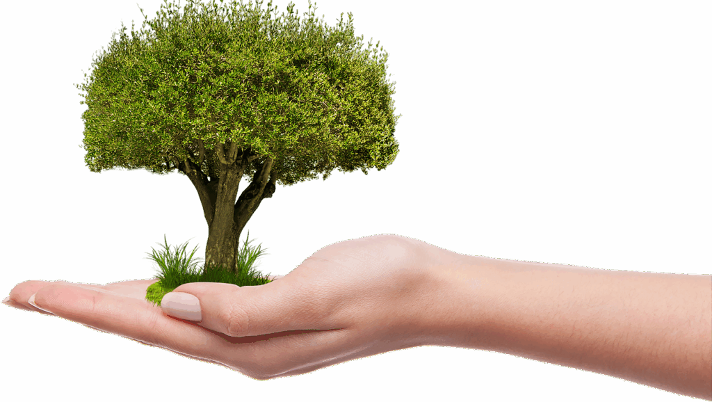 Future Trends in Collaborative Sustainability Practices