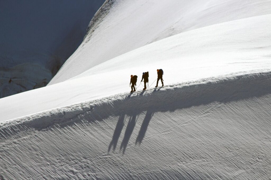 Establishing Trust with Team Members