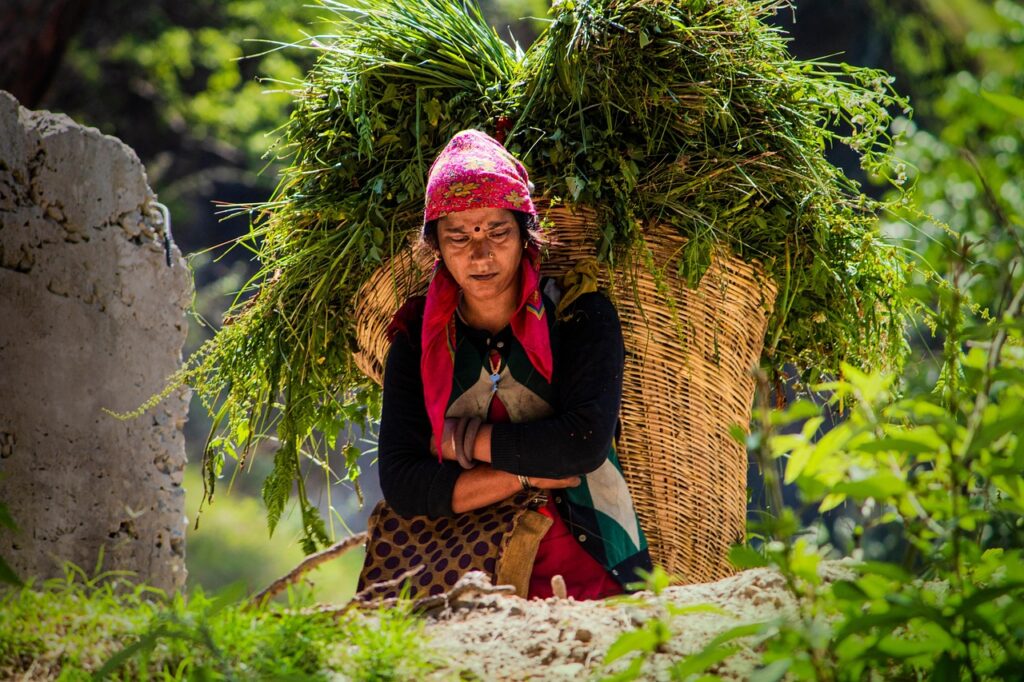 Developing Resilience Through Market Challenges Developing Resilience Through Market Challenges