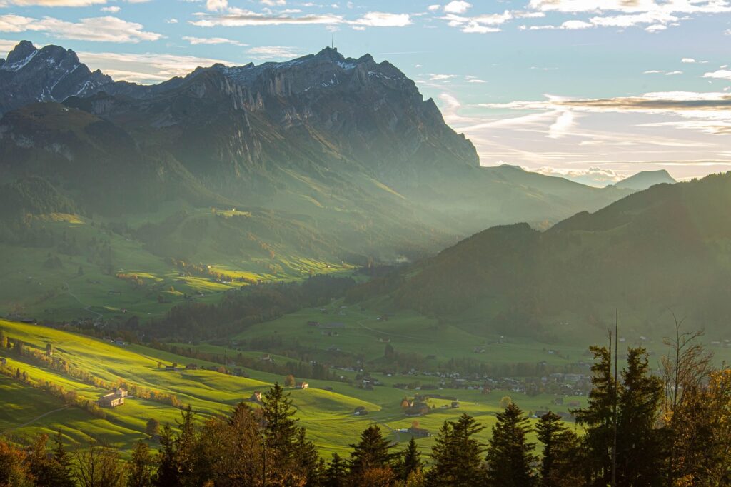 Strategies for Appeals and Denials