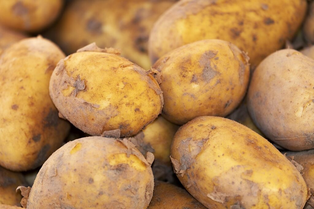 Understanding FDA Regulations for Food Products