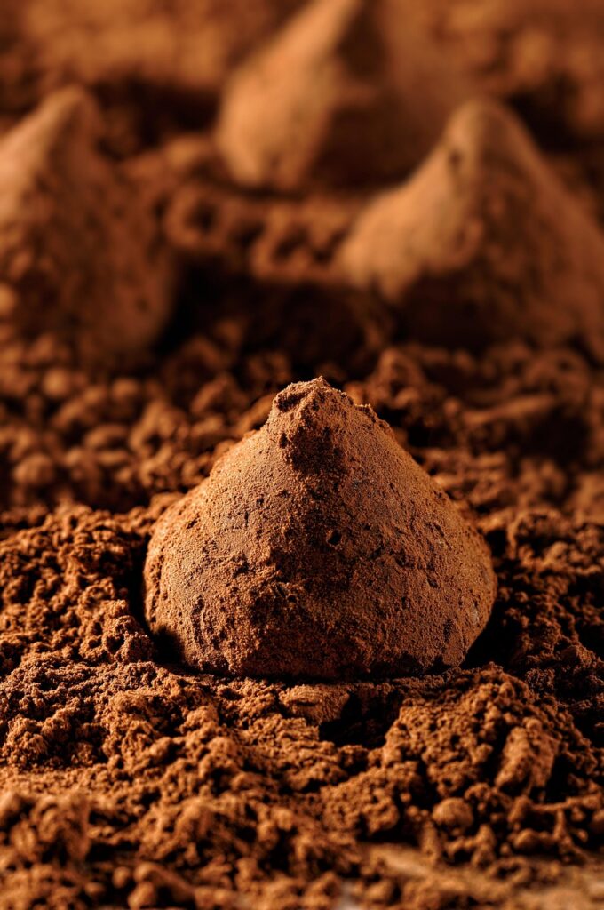Overcoming Regulatory Hurdles in Food Product Innovation