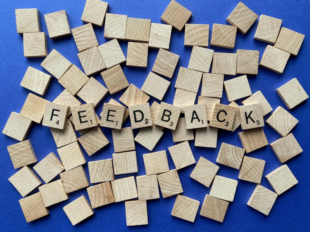 Strategies for Integrating User Feedback