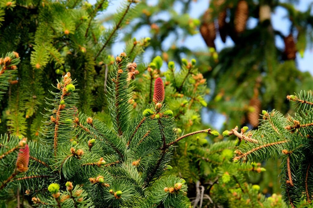 Strategies for Sustainable Brand Growth Strategies for Sustainable Brand Growth