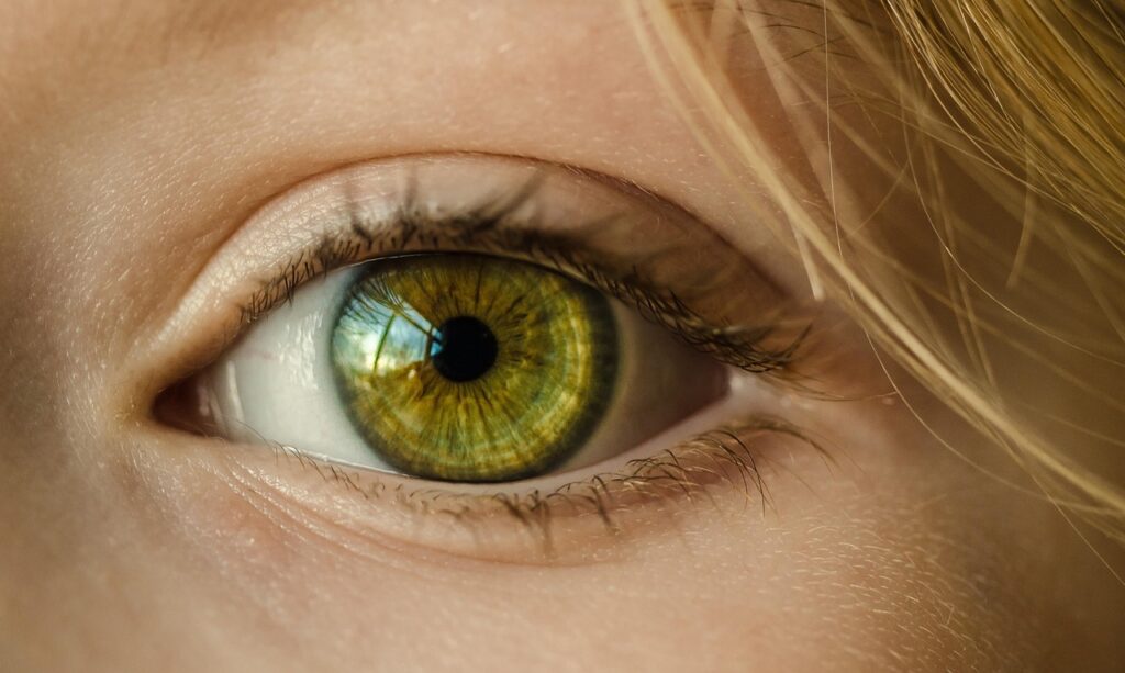 Post-Shoot Reflection: Evaluating Vision Alignment Post-Shoot Reflection: Evaluating Vision Alignment