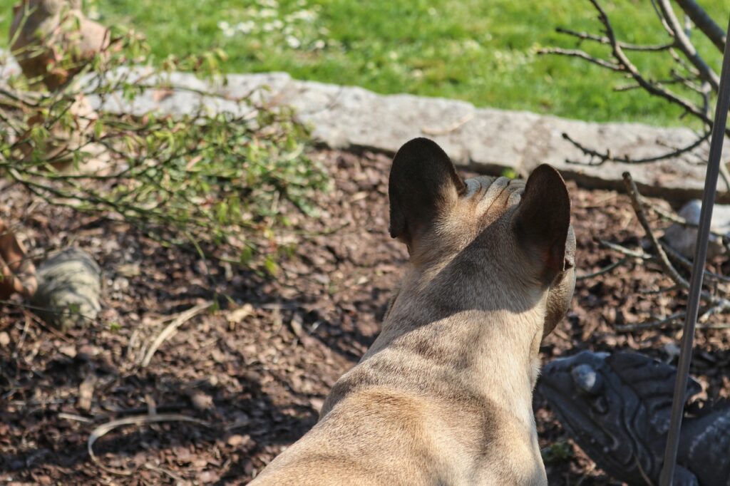 Understanding Supervisor Expectations