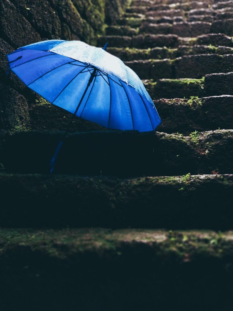 Steps to Implementing an Environmental Certification Program Steps to Implementing an Environmental Certification Program