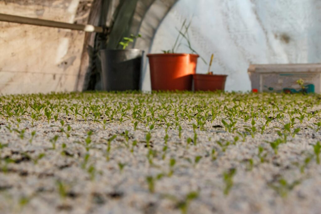 The Role of Audits in Ensuring Sustainability Compliance