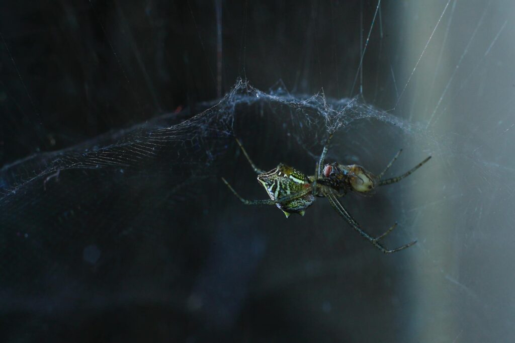 Strategies for Identifying Critical Bugs