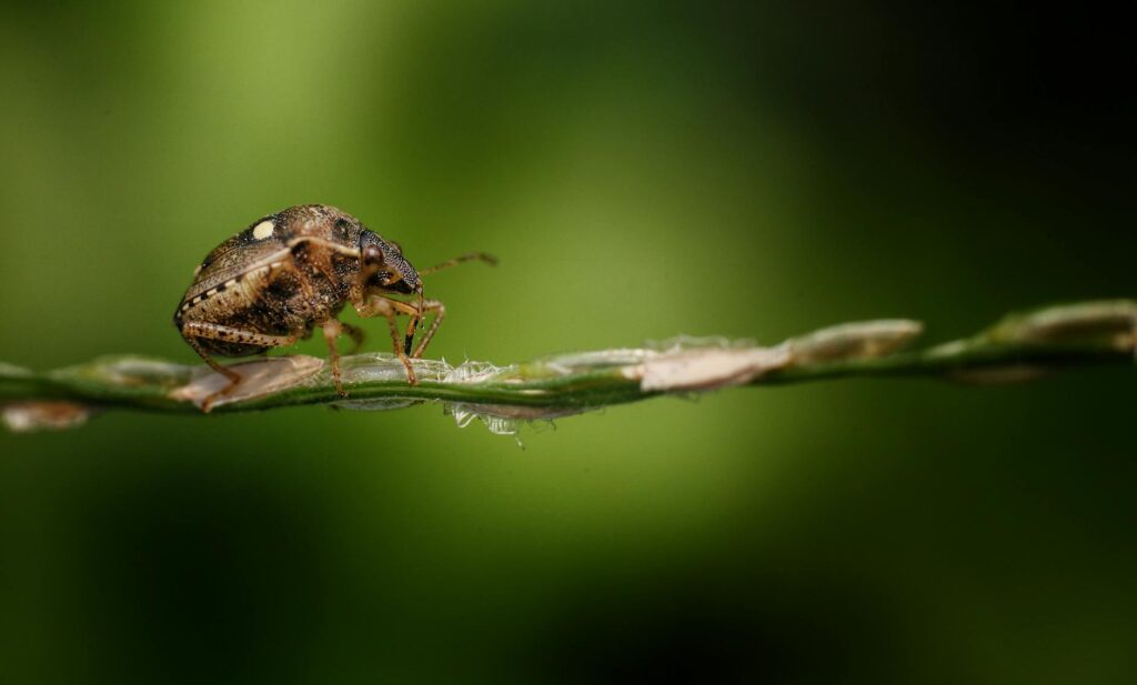 Addressing Overstepping Behavior Effectively