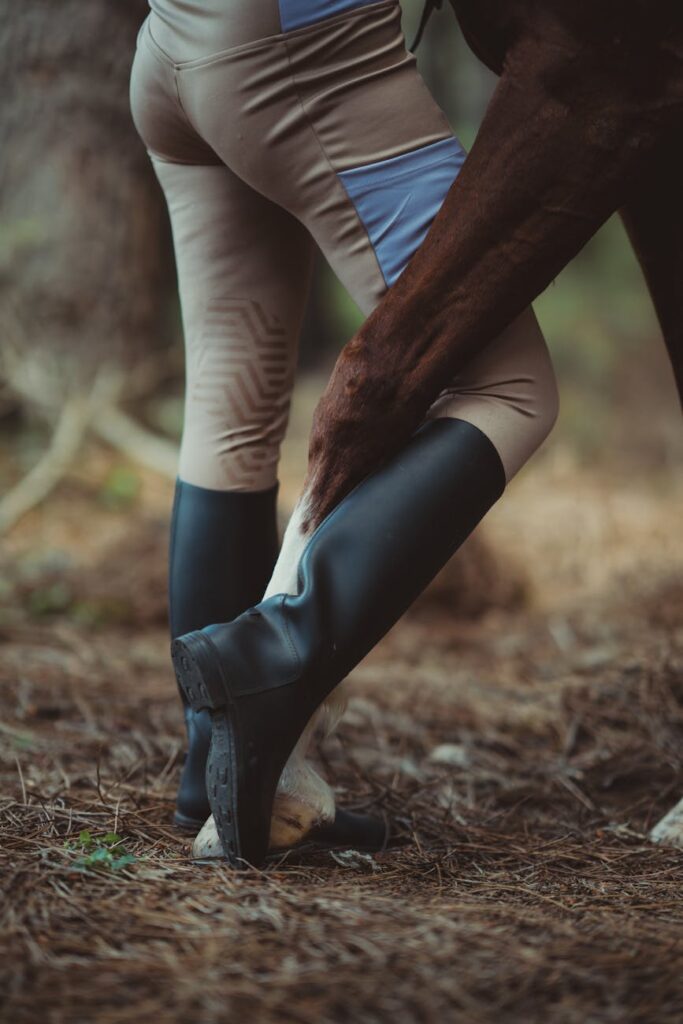 Understanding Conflicting Training Ideologies