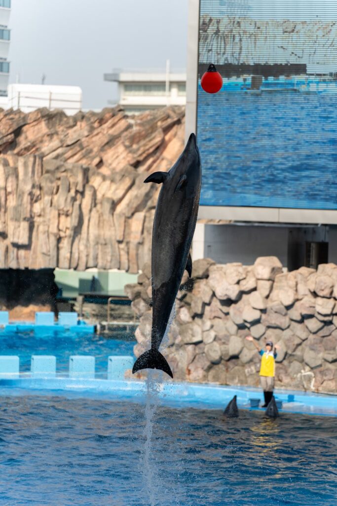 Considering Your Target Audience