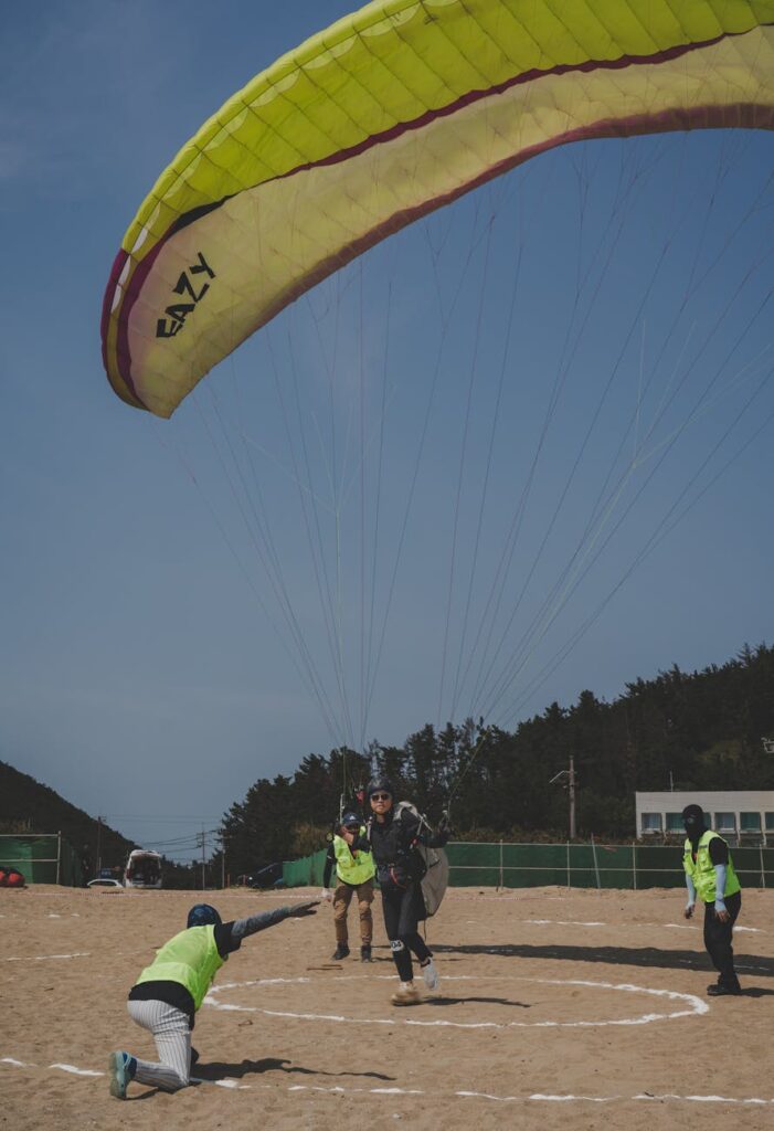 Training and Support for Team Members