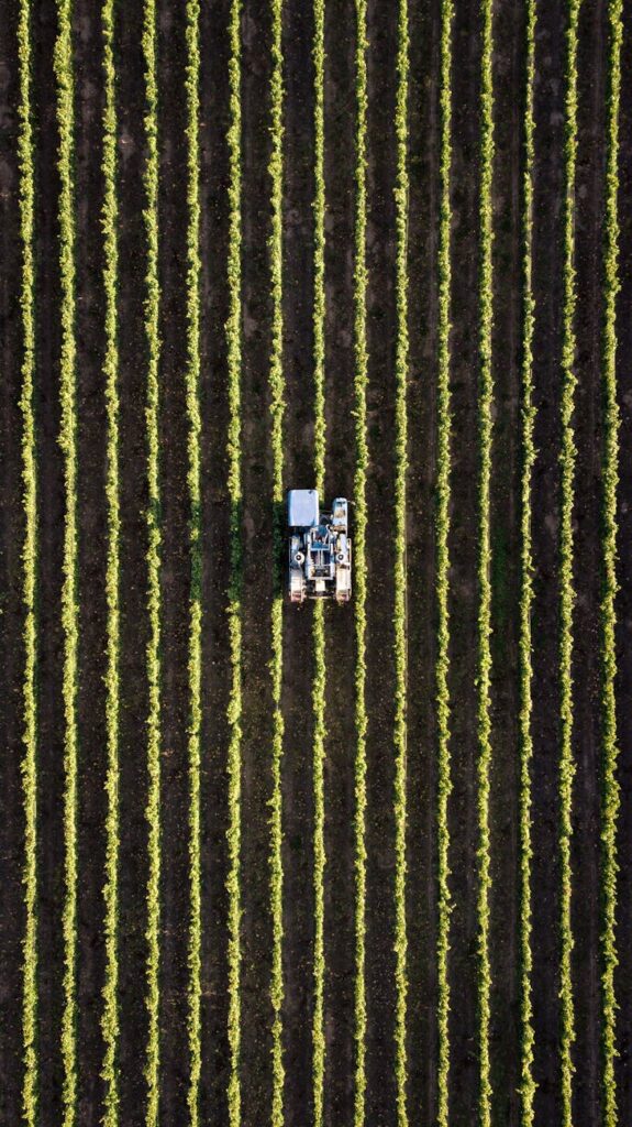 Problem-Solving: Navigating Challenges in Food Production Problem-Solving: Navigating Challenges in Food Production