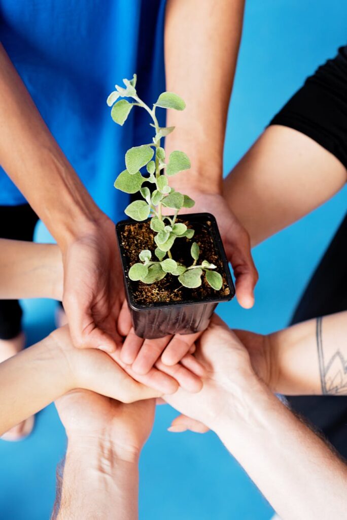 Fostering a Collaborative Environment Fostering a Collaborative Environment