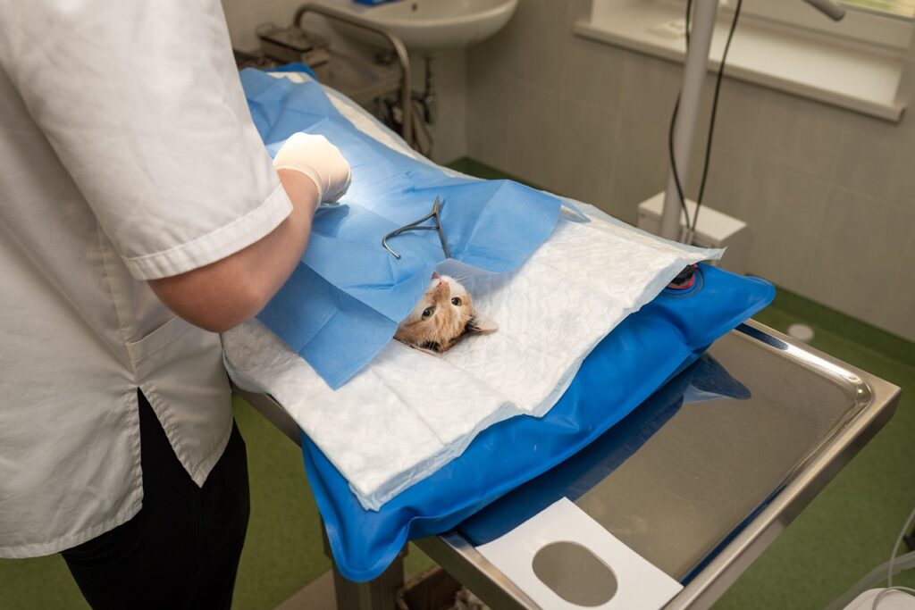 The Influence of Robotics in Surgical Procedures on Recovery Times The Influence of Robotics in Surgical Procedures on Recovery Times