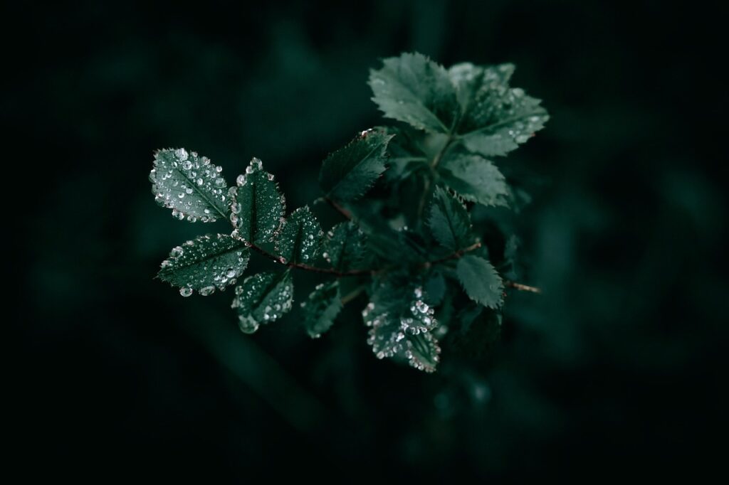 Showcasing Your Growth: Documenting Progress After Code Reviews
