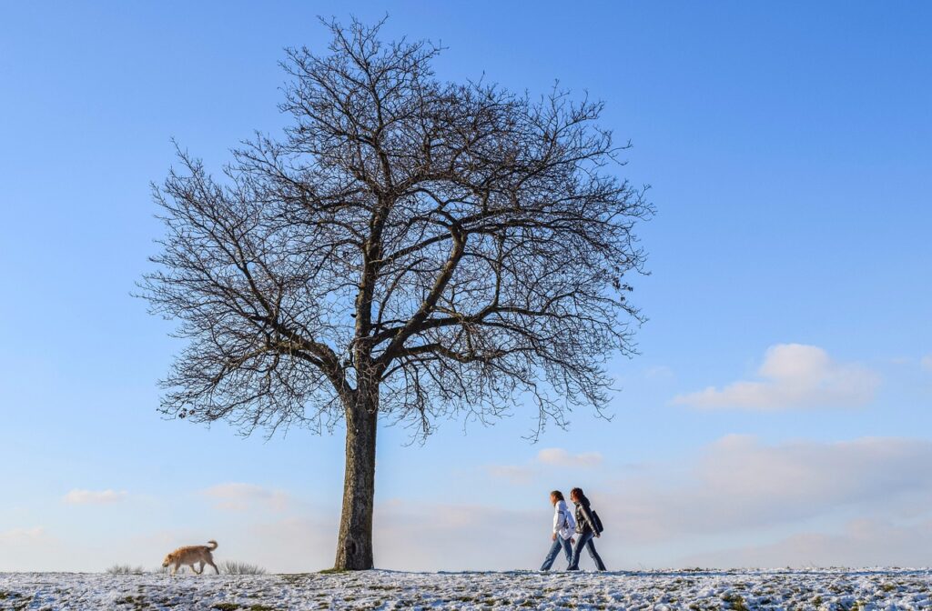 Setting Clear Ground Rules for Training Sessions