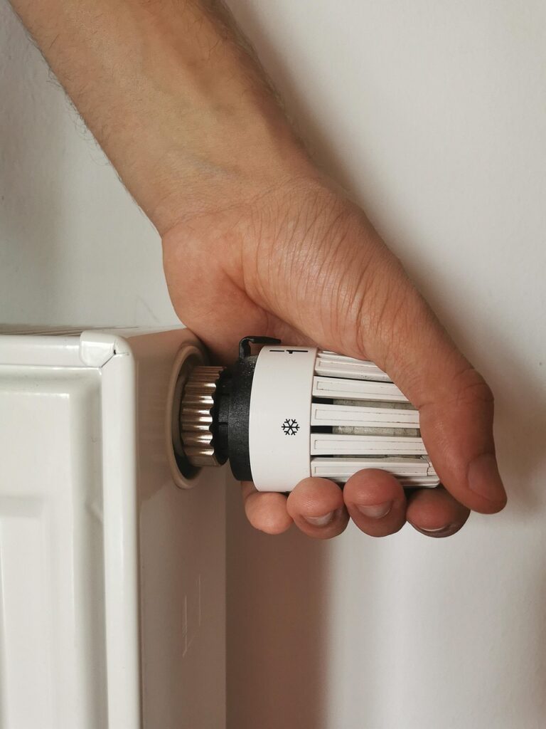 Smart Home Devices for Energy Efficiency
