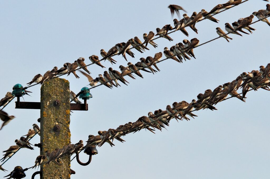 Future Trends in Lead Sourcing: Quality vs. Quantity Future Trends in Lead Sourcing: Quality vs. Quantity
