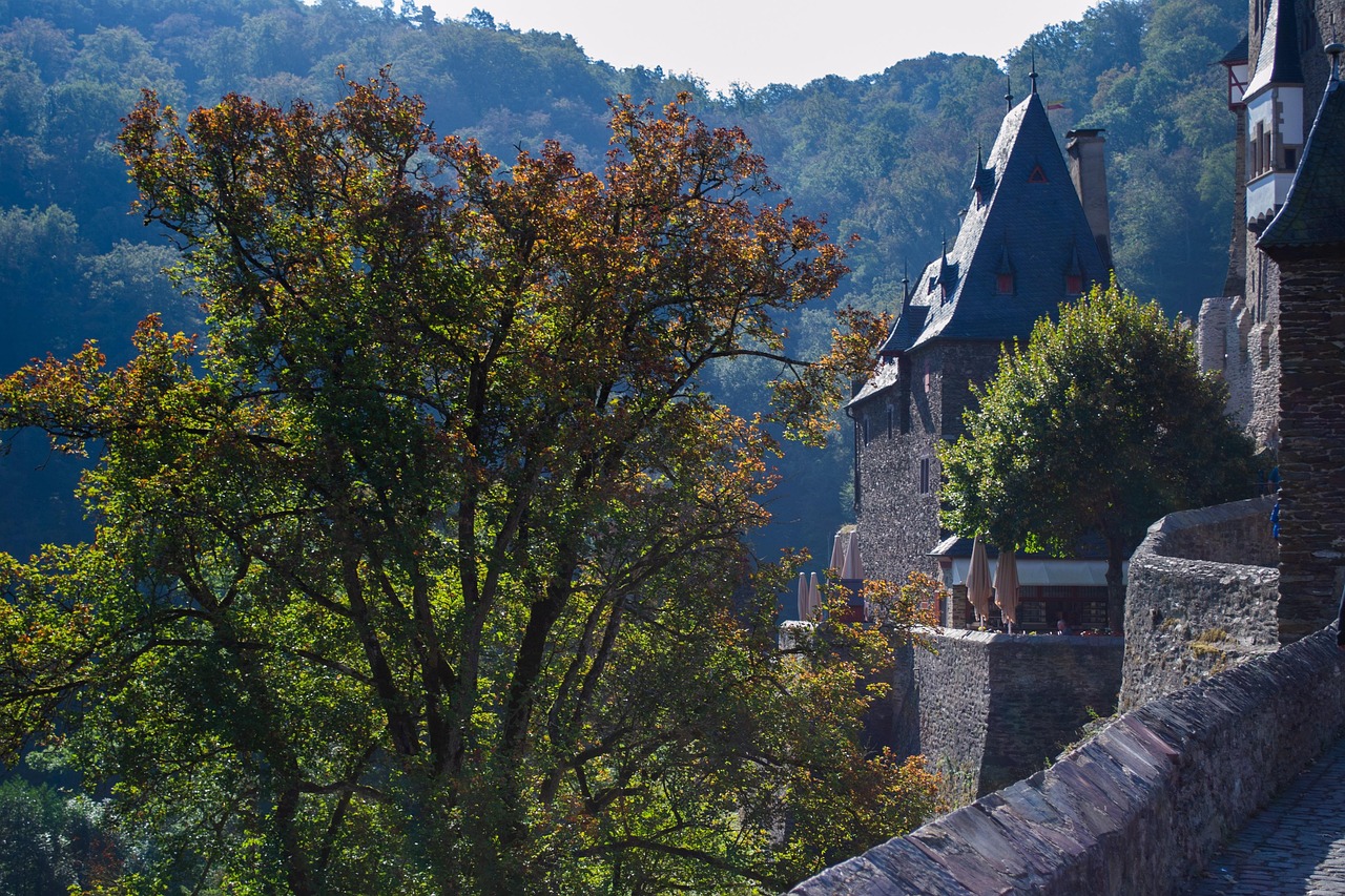 leveraging remote usability testing time savings