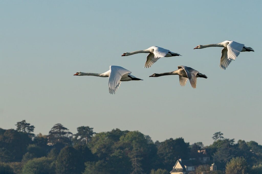 Best Practices For Data Migration